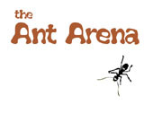 Ants Arena
