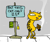 Pat Cat